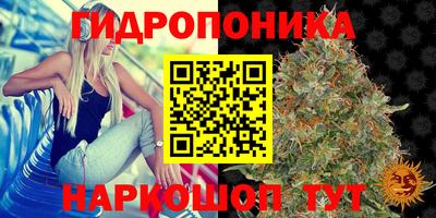 ПСИЛОЦИБИНОВЫЕ ГРИБЫ Ливны