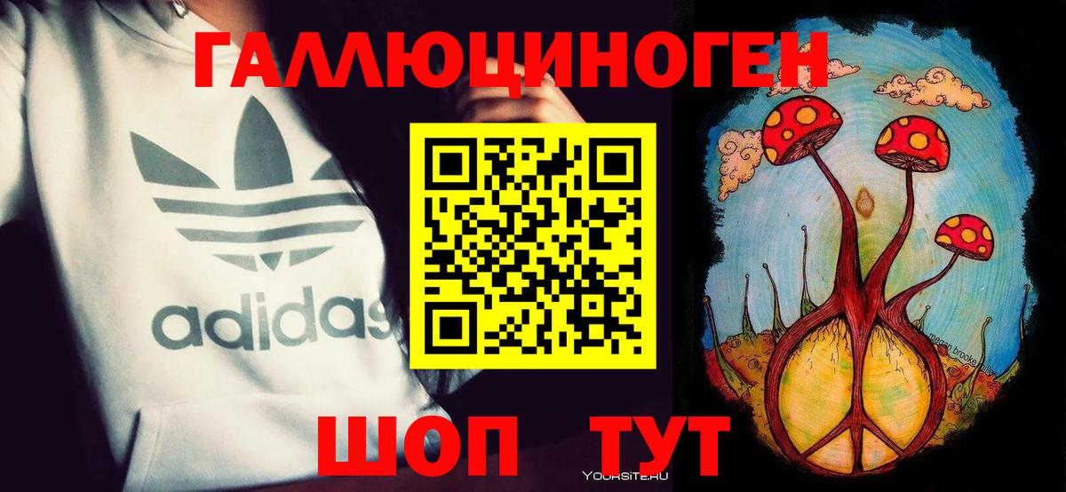 Псилоцибиновые грибы прущие грибы  Вход с VPN  Камышлов  Галлюциногенные грибы мухоморы 
