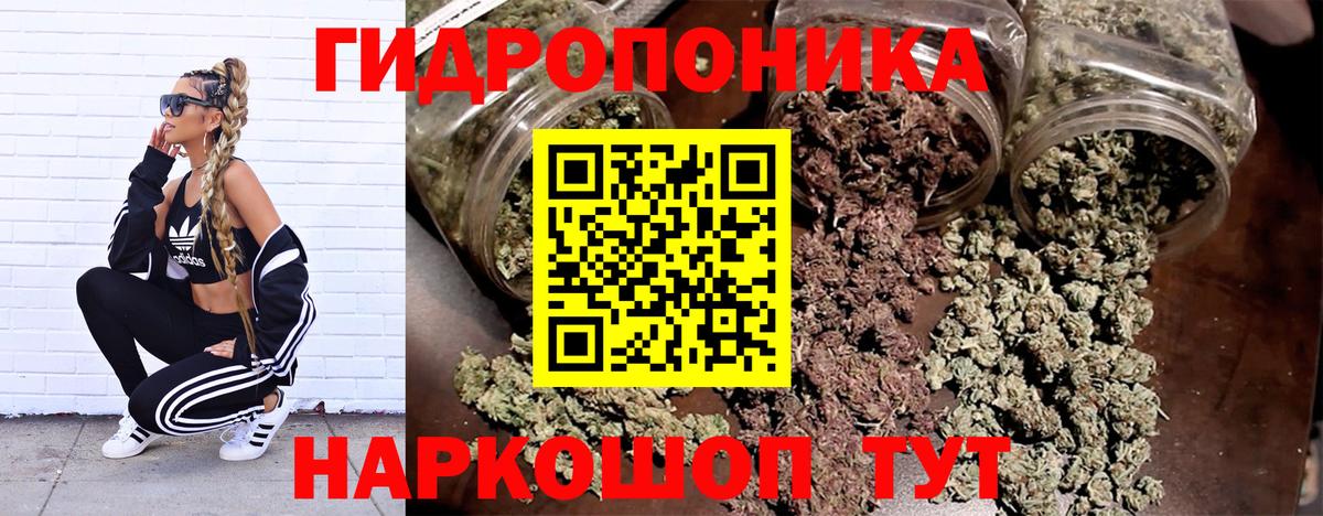 Камышлов  Бошки Шишки AK-47  Бошки Шишки White Widow  Вход с VPN 